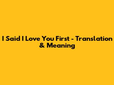 "I Said I Love You First" - Translation & Meaning