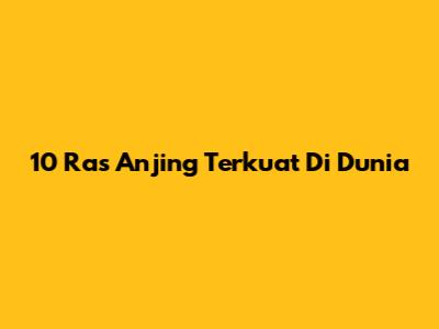 10 Ras Anjing Terkuat Di Dunia