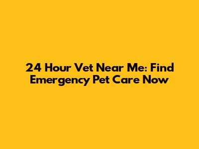 24 Hour Vet Near Me: Find Emergency Pet Care Now