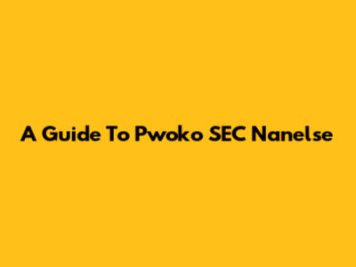 A Guide To Pwoko SEC Nanelse