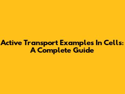 Active Transport Examples In Cells: A Complete Guide