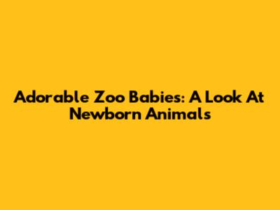 Adorable Zoo Babies: A Look At Newborn Animals