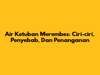 Air Ketuban Merembes: Ciri-ciri, Penyebab, Dan Penanganan
