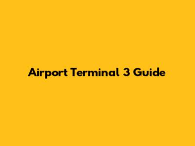 Airport Terminal 3 Guide