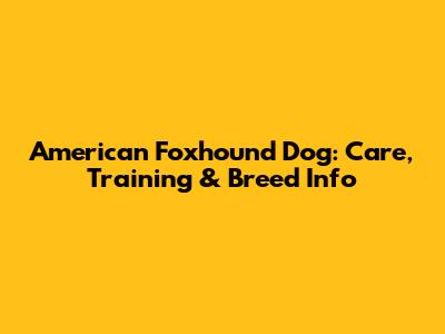 American Foxhound Dog: Care, Training & Breed Info