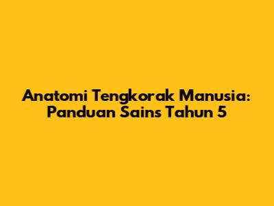Anatomi Tengkorak Manusia: Panduan Sains Tahun 5