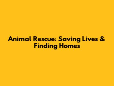Animal Rescue: Saving Lives & Finding Homes