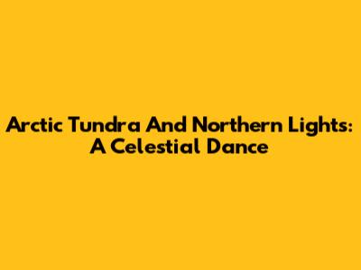 Arctic Tundra And Northern Lights: A Celestial Dance