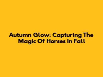 Autumn Glow: Capturing The Magic Of Horses In Fall