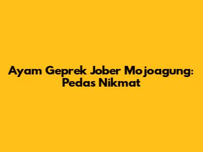 Ayam Geprek Jober Mojoagung: Pedas Nikmat