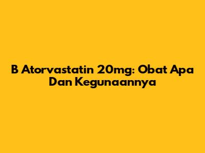 B Atorvastatin 20mg: Obat Apa Dan Kegunaannya