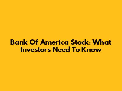 Bank Of America Stock: What Investors Need To Know