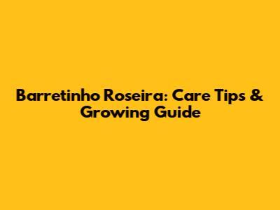 Barretinho Roseira: Care Tips & Growing Guide