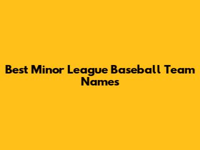 Best Minor League Baseball Team Names