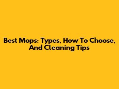 Best Mops: Types, How To Choose, And Cleaning Tips