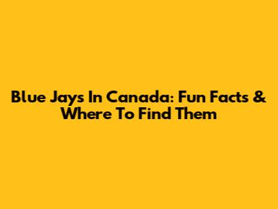 Blue Jays In Canada: Fun Facts & Where To Find Them