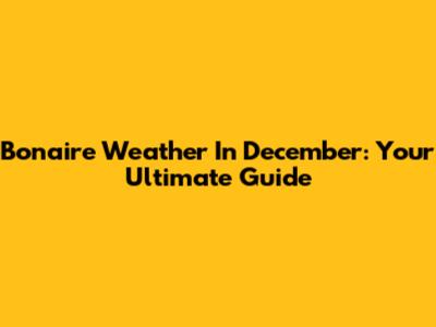 Bonaire Weather In December: Your Ultimate Guide