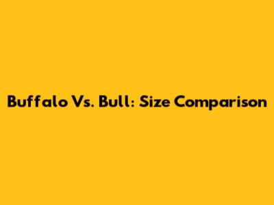 Buffalo Vs. Bull: Size Comparison
