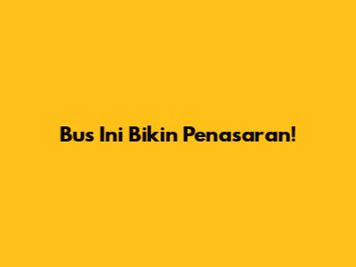 Bus Ini Bikin Penasaran!