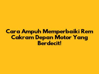 Cara Ampuh Memperbaiki Rem Cakram Depan Motor Yang Berdecit!