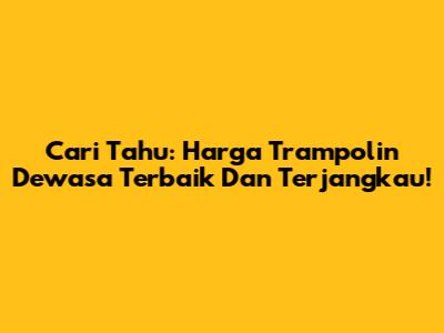 Cari Tahu: Harga Trampolin Dewasa Terbaik Dan Terjangkau!