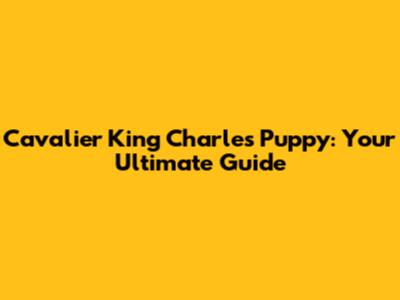 Cavalier King Charles Puppy: Your Ultimate Guide