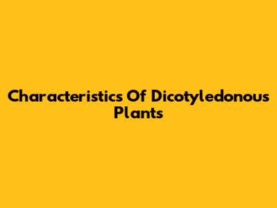 Characteristics Of Dicotyledonous Plants