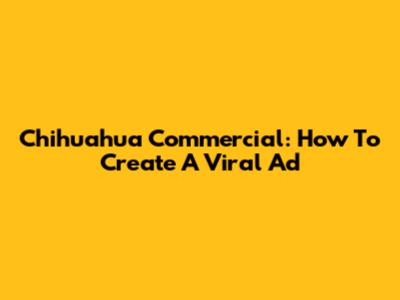 Chihuahua Commercial: How To Create A Viral Ad
