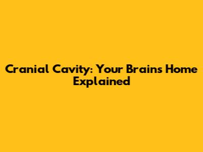 Cranial Cavity: Your Brain's Home Explained
