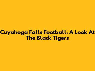 Cuyahoga Falls Football: A Look At The Black Tigers