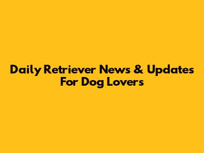 Daily Retriever News & Updates For Dog Lovers