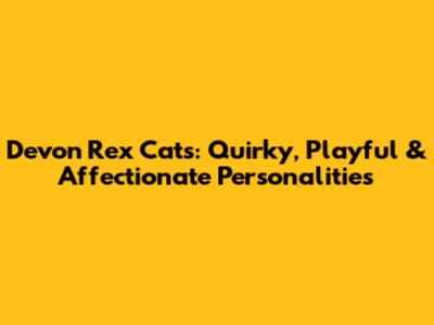 Devon Rex Cats: Quirky, Playful & Affectionate Personalities
