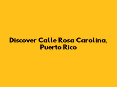 Discover Calle Rosa Carolina, Puerto Rico