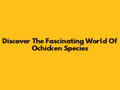 Discover The Fascinating World Of Ochicken Species