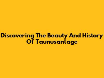 Discovering The Beauty And History Of Taunusanlage