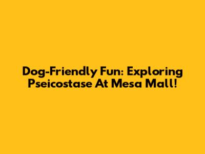 Dog-Friendly Fun: Exploring Pseicostase At Mesa Mall!