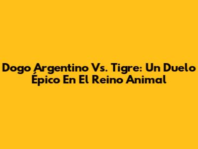 Dogo Argentino Vs. Tigre: Un Duelo Épico En El Reino Animal