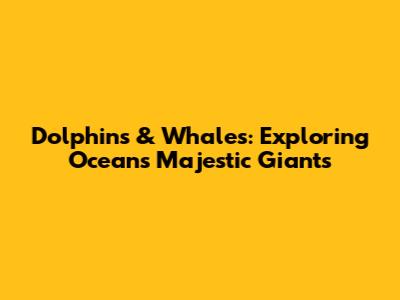 Dolphins & Whales: Exploring Ocean's Majestic Giants