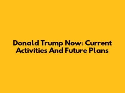 Donald Trump Now: Current Activities And Future Plans