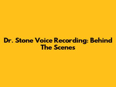Dr. Stone Voice Recording: Behind The Scenes