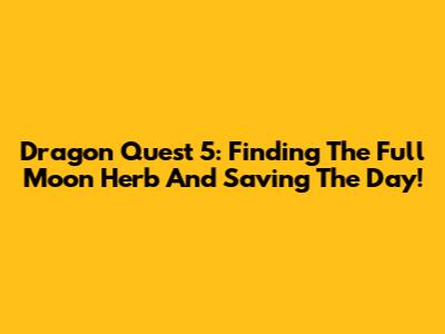 Dragon Quest 5: Finding The Full Moon Herb And Saving The Day!