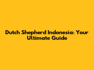 Dutch Shepherd Indonesia: Your Ultimate Guide
