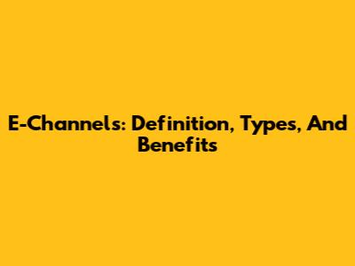 E-Channels: Definition, Types, And Benefits