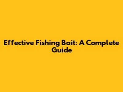 Effective Fishing Bait: A Complete Guide