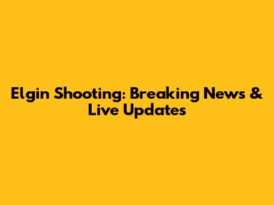 Elgin Shooting: Breaking News & Live Updates