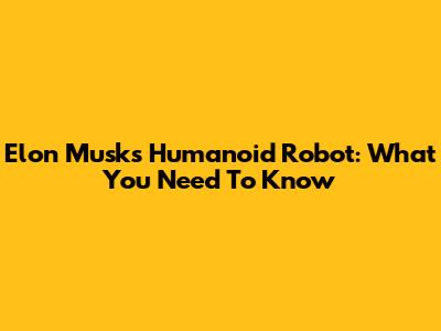 Elon Musk's Humanoid Robot: What You Need To Know