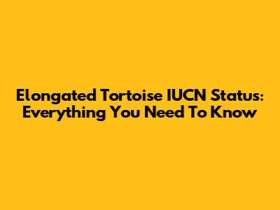 Elongated Tortoise IUCN Status: Everything You Need To Know