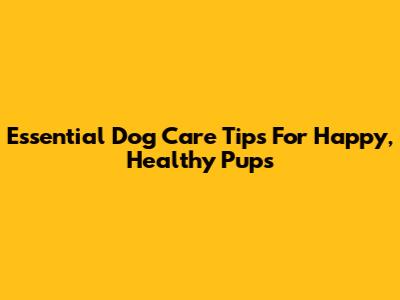 Essential Dog Care Tips For Happy, Healthy Pups