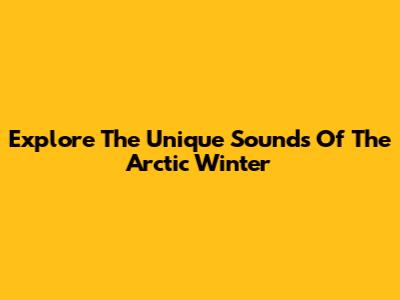 Explore The Unique Sounds Of The Arctic Winter
