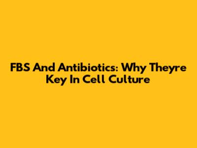FBS And Antibiotics: Why They're Key In Cell Culture